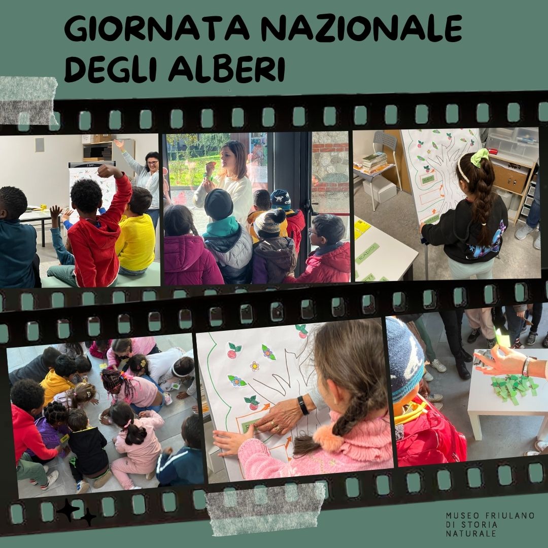 Locandina della Giornata nazionale degli alberi 2024, in cui vengono ritratti alcuni bambini impegnati nelle attività didattiche che il Museo ha organizzato in collaborazione con l’Ufficio Progetti Educativi 3-14 e il Consiglio Comunale dei Ragazzi del Comune di Udine.