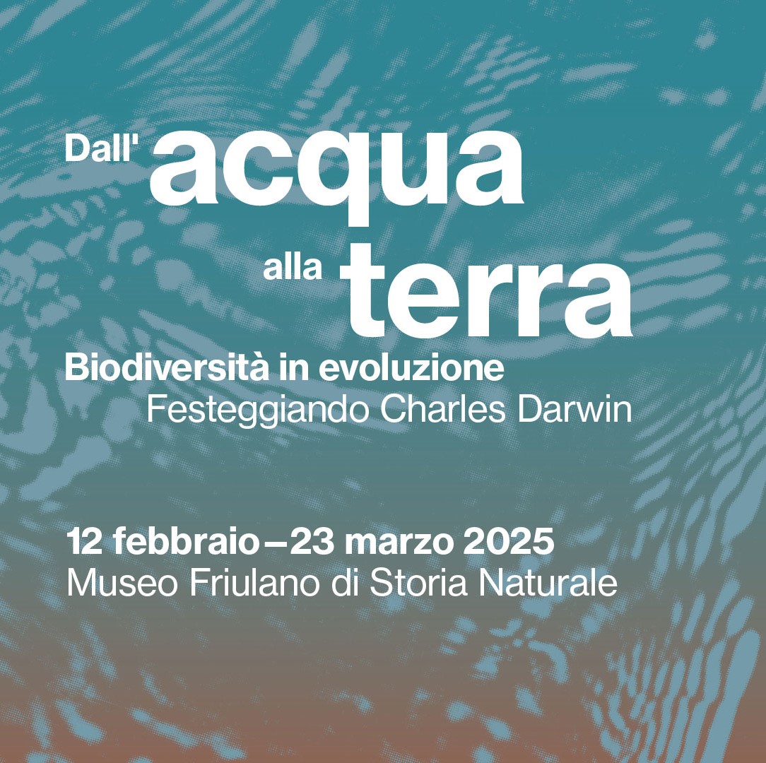 Immagine della locandina dell'evento "Dal acqua alla terra" Biodiversità in evoluzione. Festeggiando Charles Darwin 12 febbraio - 23 marzo 2025